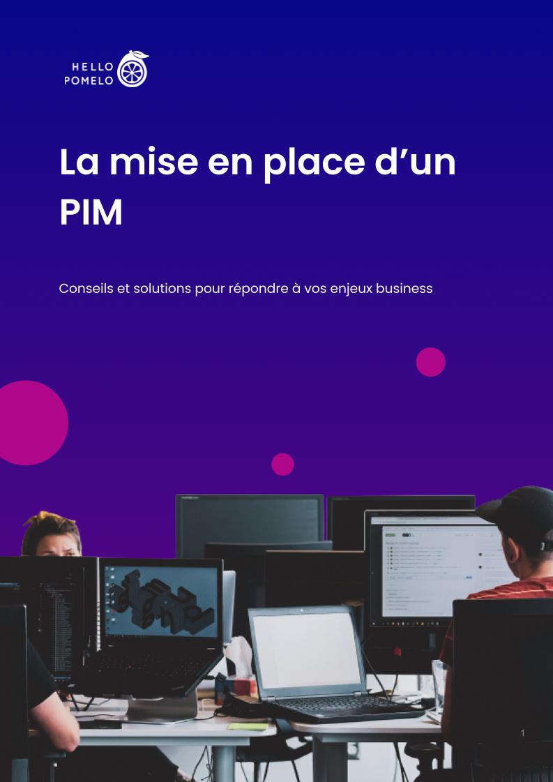 Livre Blanc -mise en place d'un PIM