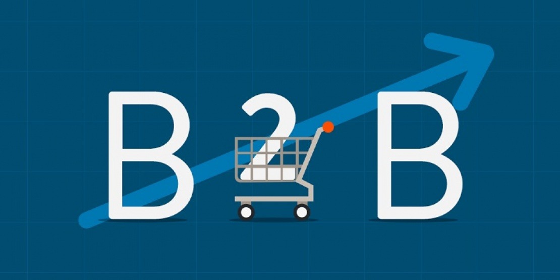 Quels sont les enjeux e-commerce BtoB en 2024 ? - Hello Pomelo