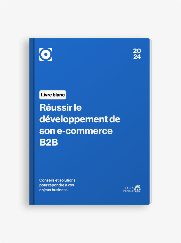 réussir le développement de son E-commerce B2B