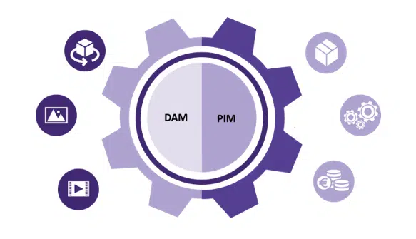 PIM DAM
