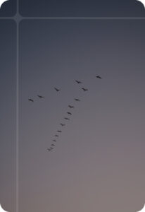Migration de données
