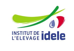 IDELE